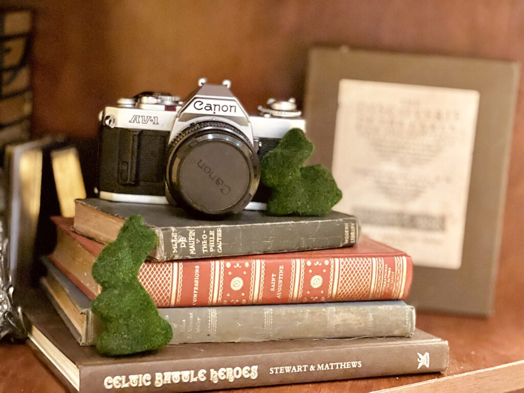 dollar tree moss covered bunny stacked books shelf decor vintage camera spring easter style