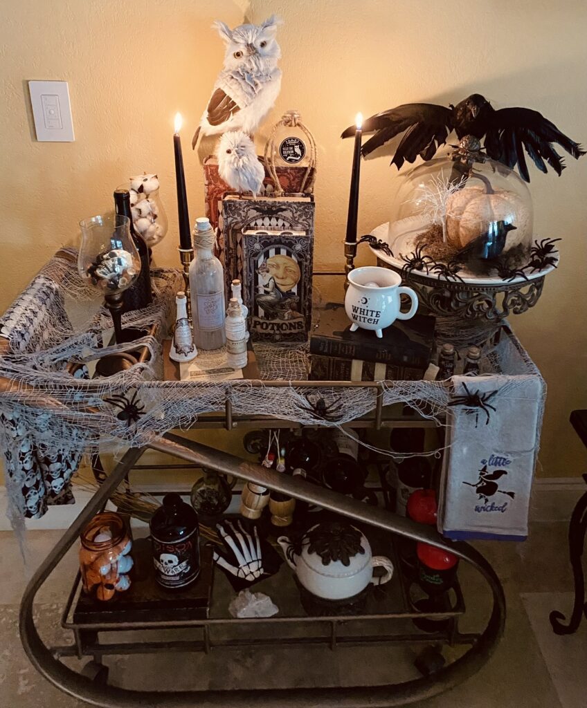halloween witches potion bar cart decorations crows owls spiderwebs