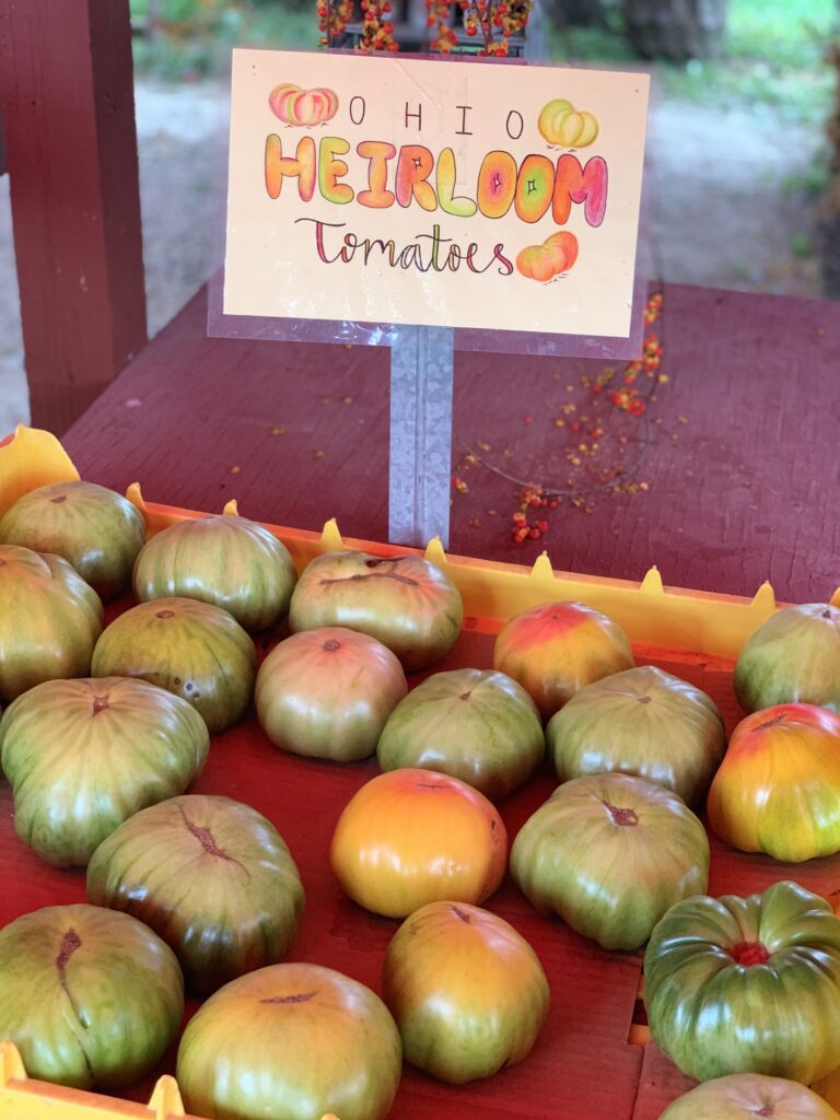 fall harvest market Ohio heirloom tomatoes